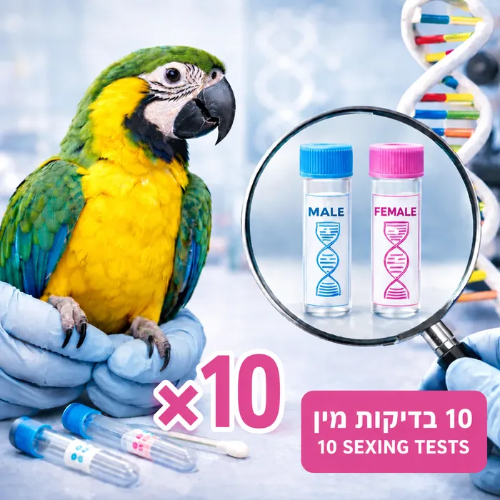 10 בדיקות לזיהוי מין ב300ש"ח