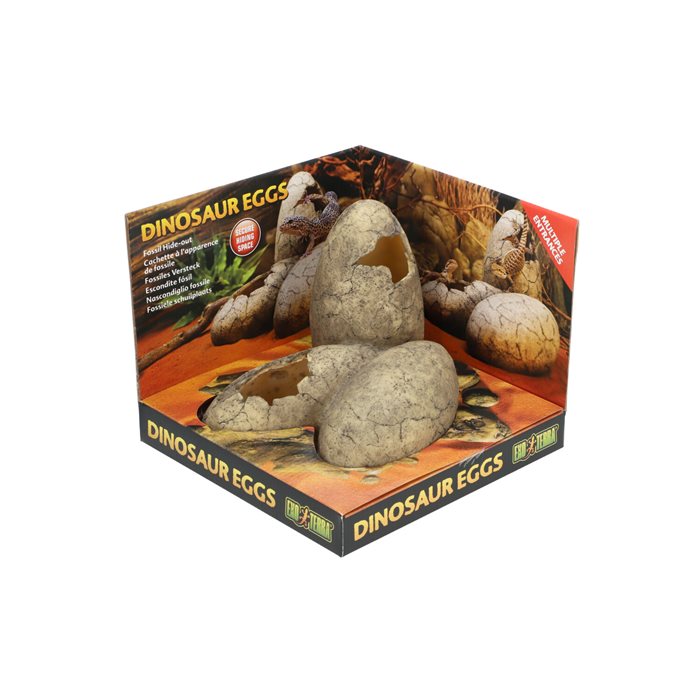 דקורציה ביצי דינוזאור אקזוטרה