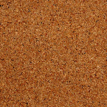 מזון תוכנים דיילי נייצ'ר 1 קילו