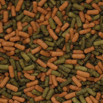 במבה ציקליד רד אנד גרין לארג' 1000 מ”ל טרופיקל