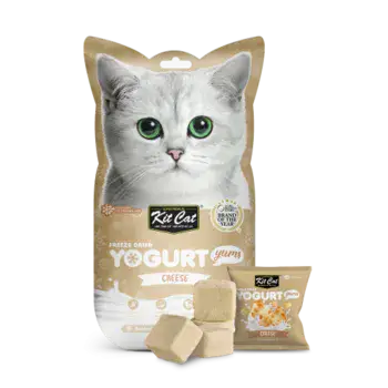 חטיף יוגורט לחתולים 0בטעם גבינה - קיטקט חטיף לחתול 10 יחידות| Kit Cat Yogurt Yums